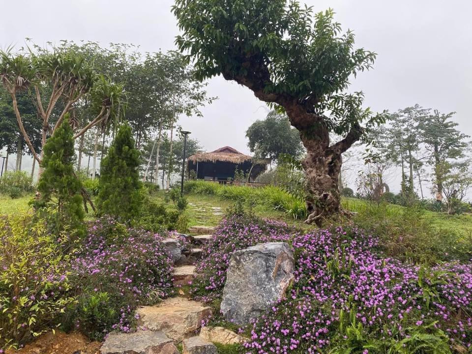 Ho Tam Homestay Hoa Binh Екстер'єр фото